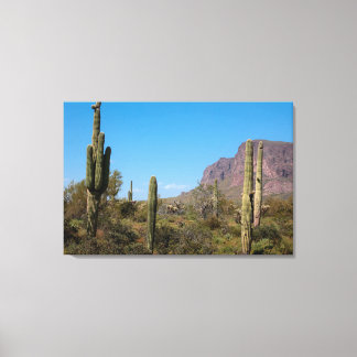 Impressão Em Tela Cacto Saguaro no Deserto de Sonora do Arizona