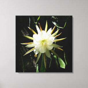 Impressão Em Tela Cactus Bloom