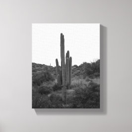 Impressão Em Tela Cactus Preto e Branco Saguaro 8x10