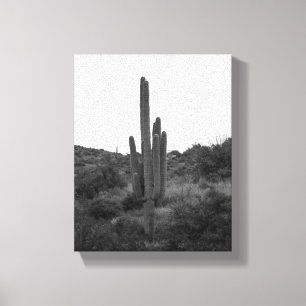Impressão Em Tela Cactus Preto e Branco Saguaro 8x10