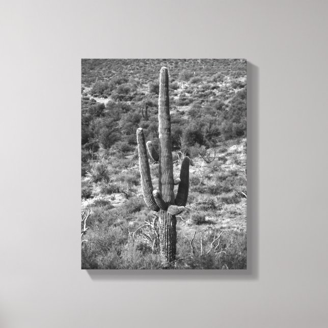 Impressão Em Tela Cactus Saguaro Preto e Branco em Sagebrush 11x14 (Frente)