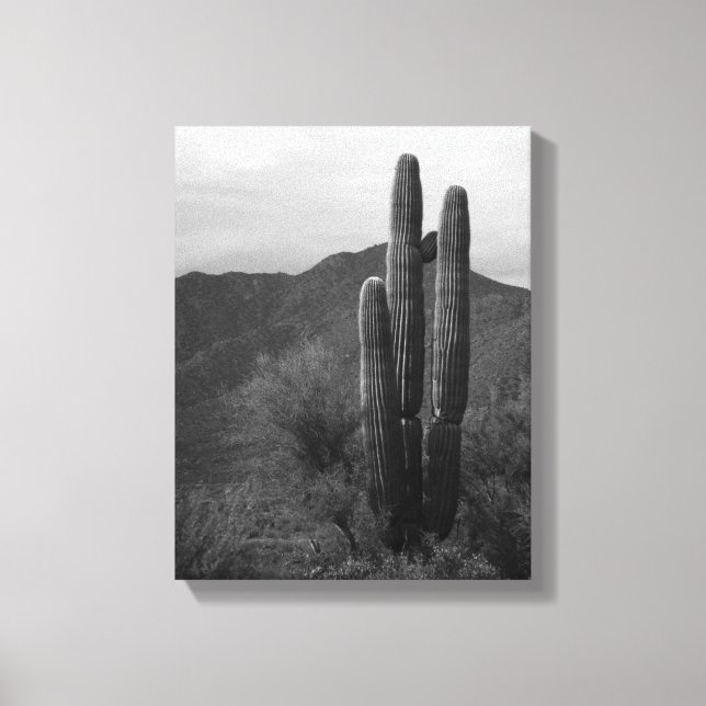 Impressão Em Tela Cactus Saguaro Preto e Branco no Colinas 11x14 (Frente)