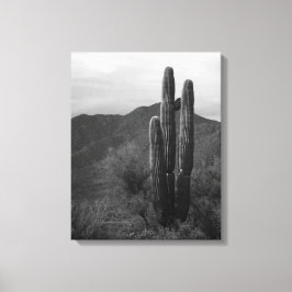 Impressão Em Tela Cactus Saguaro Preto e Branco no Colinas 16x20