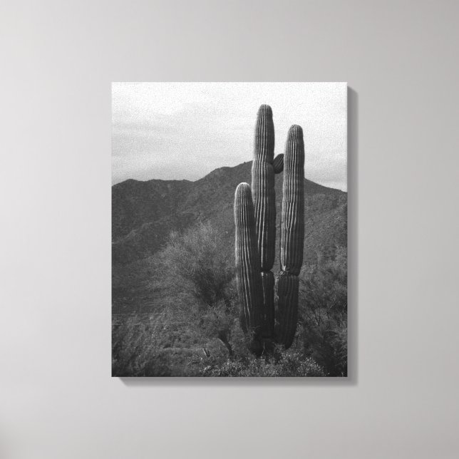 Impressão Em Tela Cactus Saguaro Preto e Branco no Colinas 16x20 (Frente)
