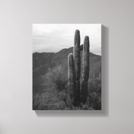 Impressão Em Tela Cactus Saguaro preto e branco no Colinas 8x10
