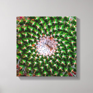Impressão Em Tela Cactus Spiral
