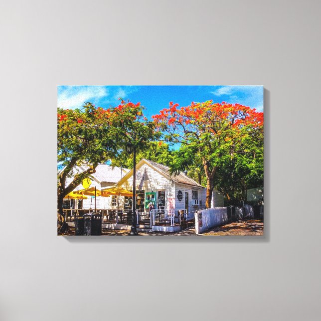 Impressão Em Tela Café de Gato de Seis Toes (Frente)