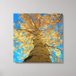 Impressão Em Tela Cai fora, olha para cima!