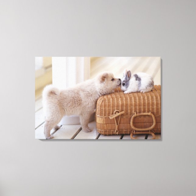 Impressão Em Tela Cãibras e coelhos (Frente)