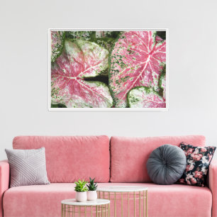 Impressão Em Tela Caládio Rosa Deixa Floral