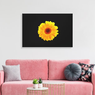 Impressão Em Tela Calendula Officinalis