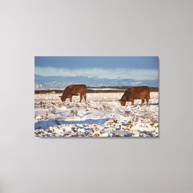 Impressão Em Tela calgário, alberta, canadá 2 (Frente)