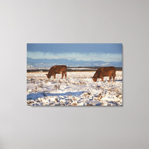 Impressão Em Tela calgary, Alberta, Canadá 2