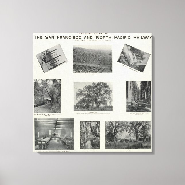 Impressão Em Tela Califórnia 4 (Frente)