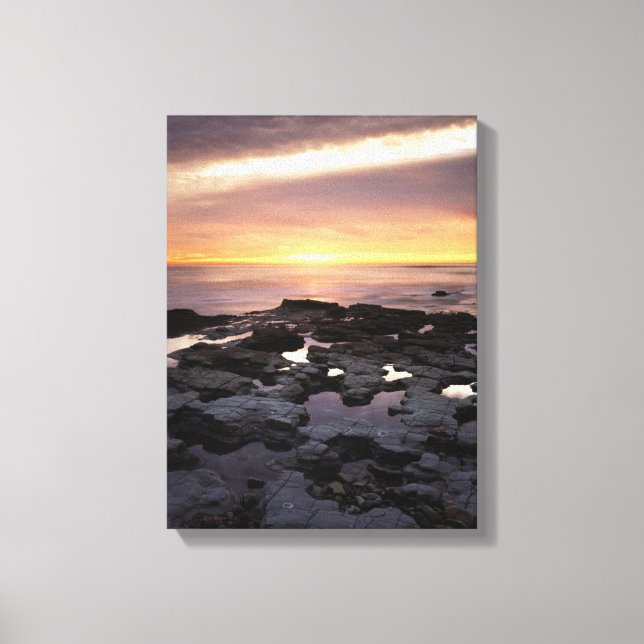 Impressão Em Tela Califórnia, San Diego, Sunset Cliffs, Sunset 6 (Frente)