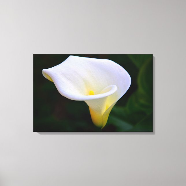 Impressão Em Tela Calla Lily (Frente)