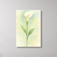 Calla Lily