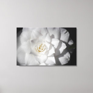 Impressão Em Tela Camelia branco
