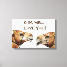 Camelos Beijando Lona Engraçada Enrolada
