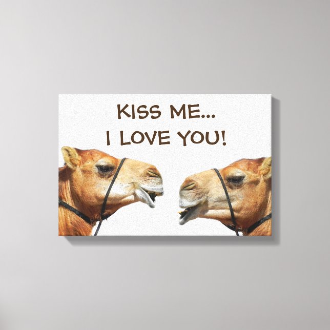 Impressão Em Tela Camelos Beijando Lona Engraçada Enrolada (Frente)