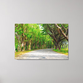 Impressão Em Tela Caminho Arborizado Allee Fotografia De Paisagem Vi