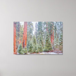 Impressão Em Tela Caminho Florestal de Sequoias Nevado
