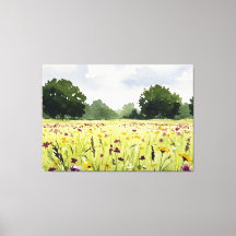 Campo de flores