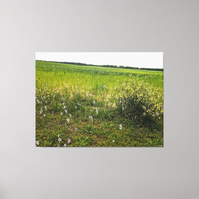 Impressão Em Tela Campo Exuberante com Flores Silvestres (Frente)