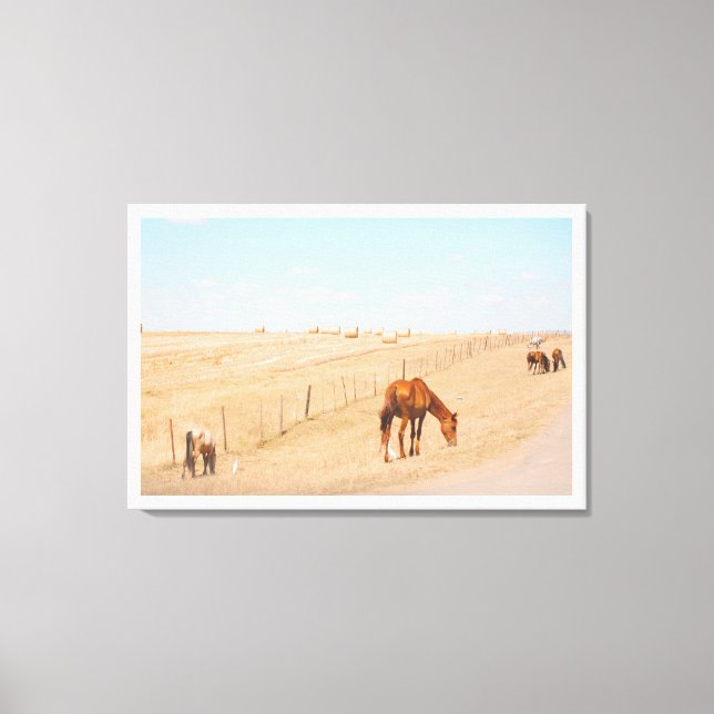 Impressão Em Tela Campos de Cavalos Selvagens da Paisagem Rural (Frente)