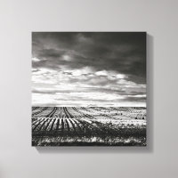 campos de fazenda