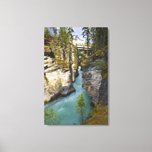 Impressão Em Tela Canadá, Alberta, Jasper National Park, Athabasca 2