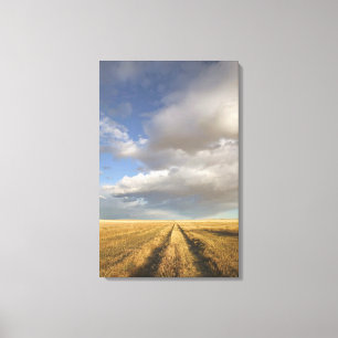 Impressão Em Tela Canadá, Alberta, Sand Off: Paisagem com