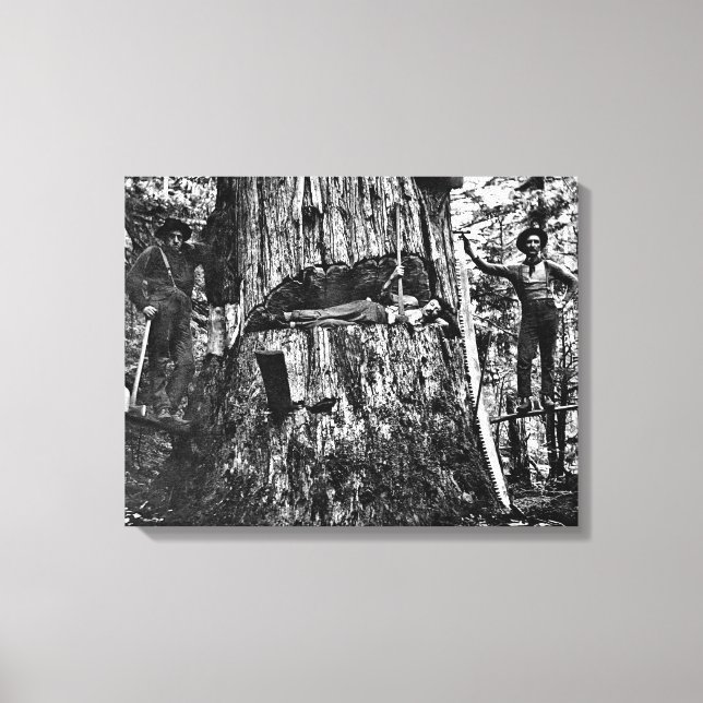 Impressão Em Tela CANADIAN LOGGERS c. 1890 (Frente)