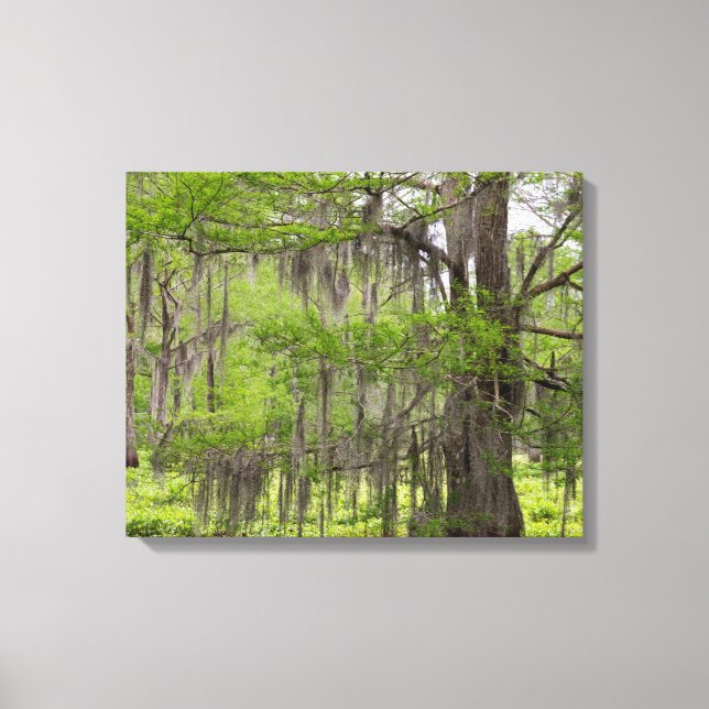 Impressão Em Tela Cânhamo da Louisiana (Frente)