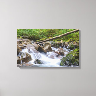 Impressão Em Tela Cânhamo Envolvido em Cachoeira