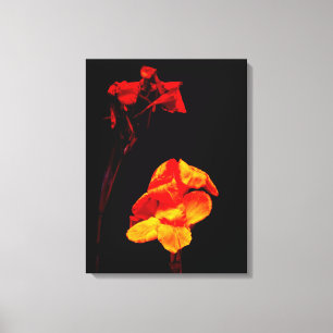 Impressão Em Tela Canna Lily em Preto