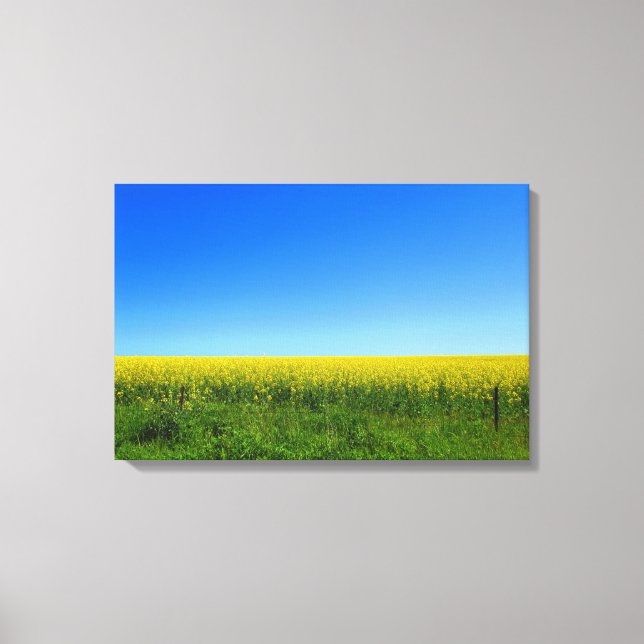 Impressão Em Tela Canola Fields (Frente)