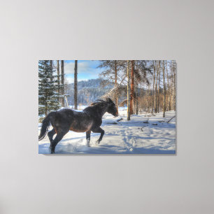 Impressão Em Tela Canterna Black Percheron Horse & Snow Photo 2