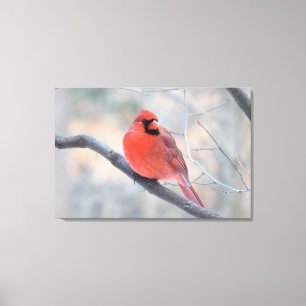 Impressão Em Tela (Canvas cardinais do norte da angra cardinal)