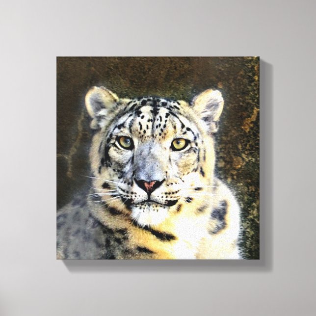 Impressão Em Tela Canvas-leopardo-da-neve (Frente)