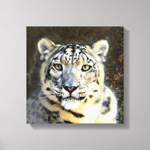 Impressão Em Tela Canvas-leopardo-da-neve
