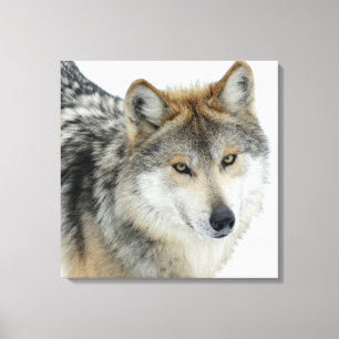 Impressão Em Tela Canvas/Lobo