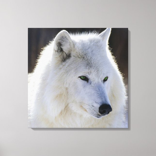Impressão Em Tela Canvas/Lobo Branco Verde (Frente)