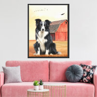 Cão Border Collie e Rancho do Celeiro Vermelho