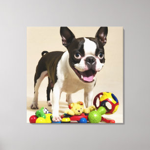 Impressão Em Tela Cão Boston Terrier Brincando com Brinquedos