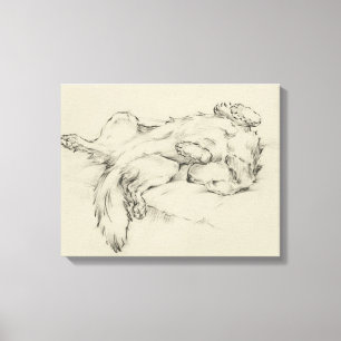 Impressão Em Tela Cão Cansado