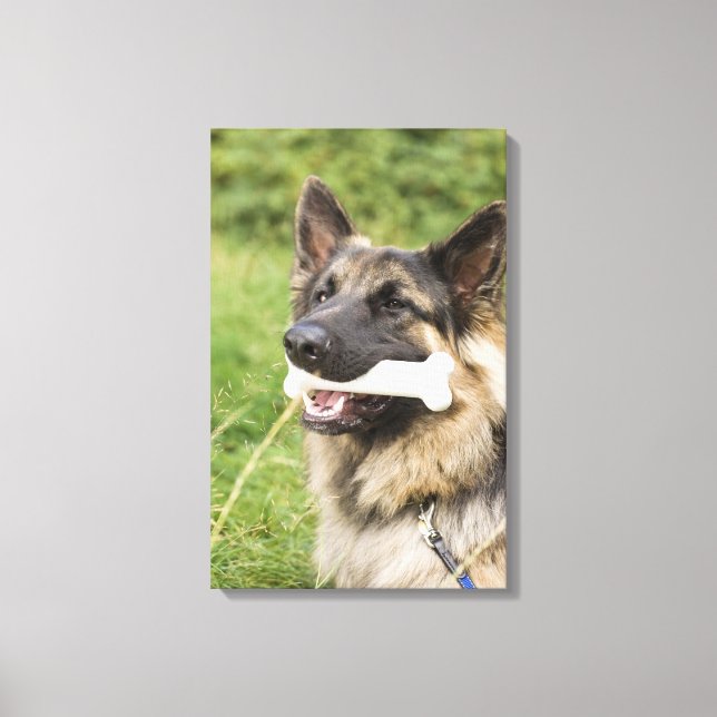 Impressão Em Tela Cão com osso (Frente)