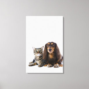 Impressão Em Tela Cão (Dachshund) e gato (gato japonês) no branco