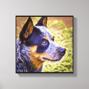 Impressão Em Tela Cão-de-Bovinos Australiano - Portrato-Cão