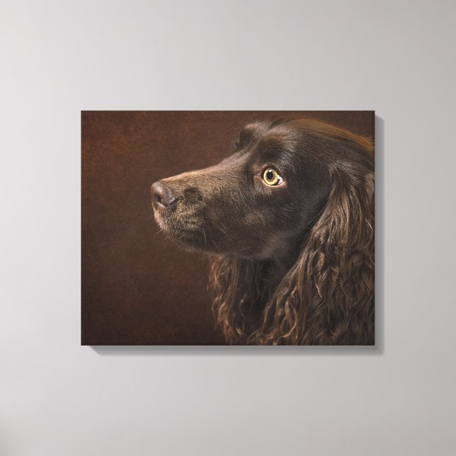 Impressão Em Tela Cão De Cabelo Castanho (Frente)